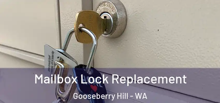 Mailbox Lock Replacement Gooseberry Hill - WA