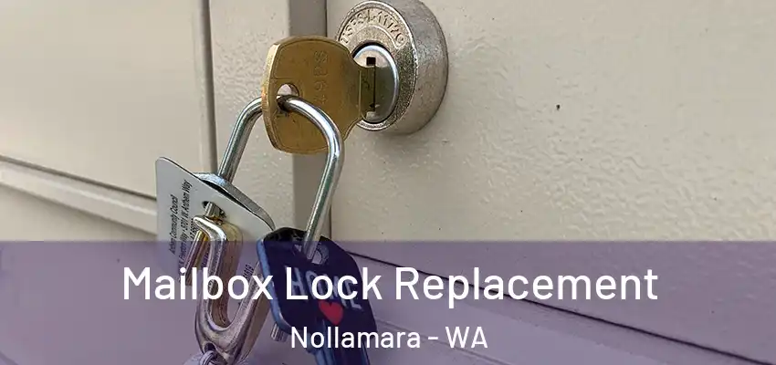  Mailbox Lock Replacement Nollamara - WA