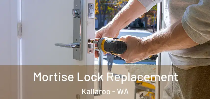 Mortise Lock Replacement Kallaroo - WA