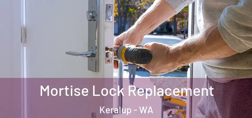 Mortise Lock Replacement Keralup - WA