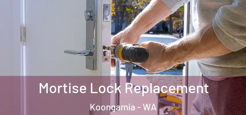 Mortise Lock Replacement Koongamia - WA
