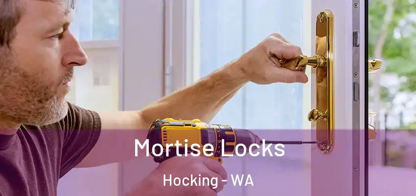 Mortise Locks Hocking - WA