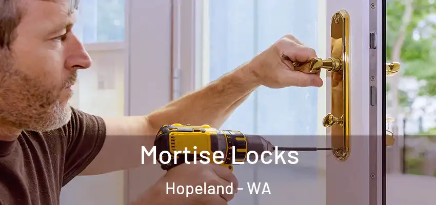 Mortise Locks Hopeland - WA