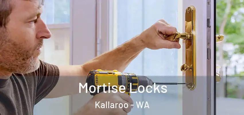 Mortise Locks Kallaroo - WA