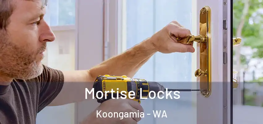 Mortise Locks Koongamia - WA