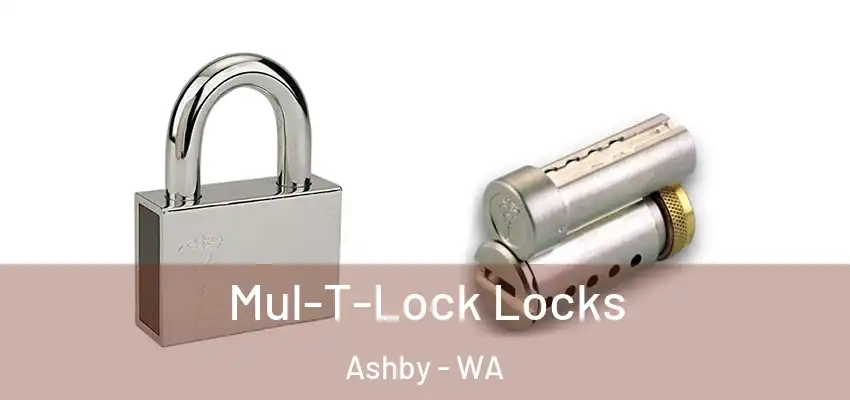 Mul-T-Lock Locks Ashby - WA