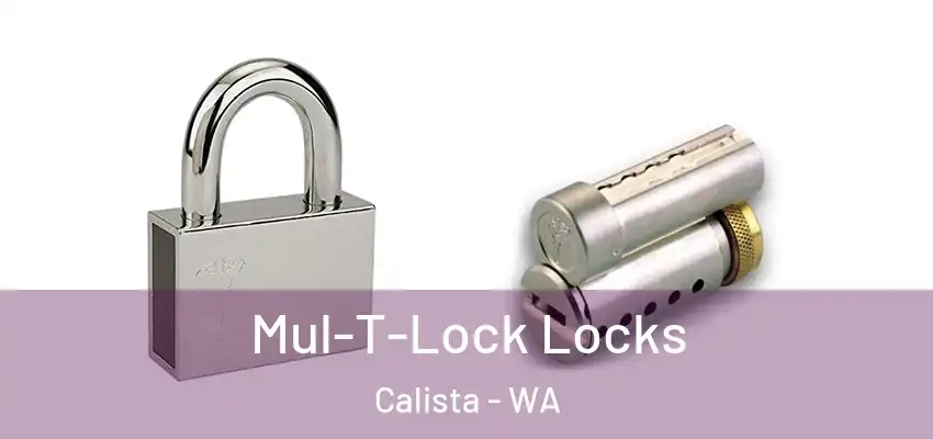 Mul-T-Lock Locks Calista - WA
