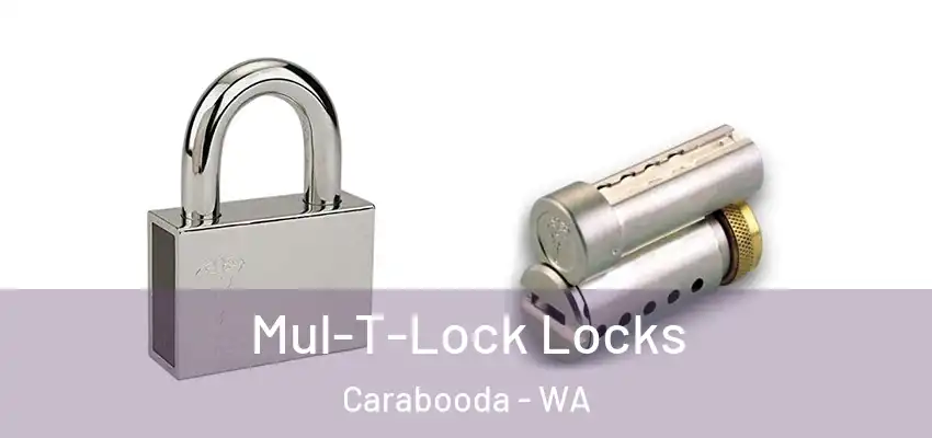 Mul-T-Lock Locks Carabooda - WA