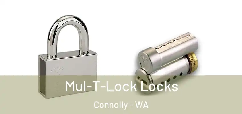Mul-T-Lock Locks Connolly - WA