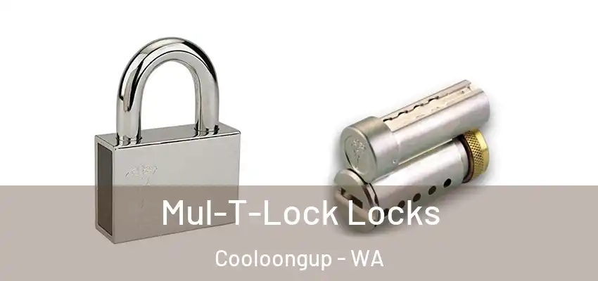Mul-T-Lock Locks Cooloongup - WA