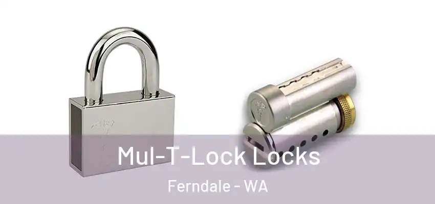 Mul-T-Lock Locks Ferndale - WA