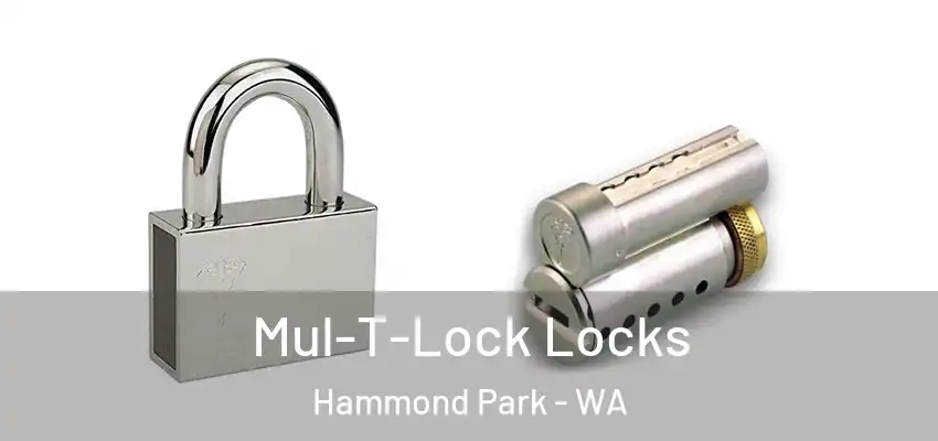 Mul-T-Lock Locks Hammond Park - WA
