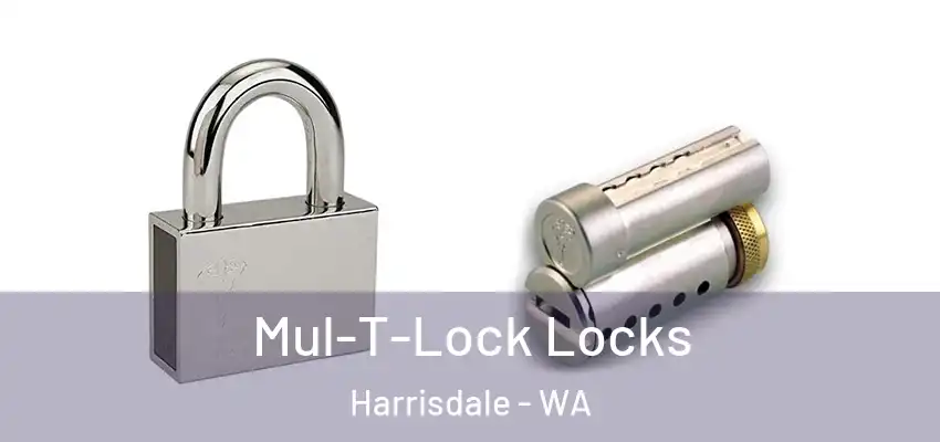 Mul-T-Lock Locks Harrisdale - WA
