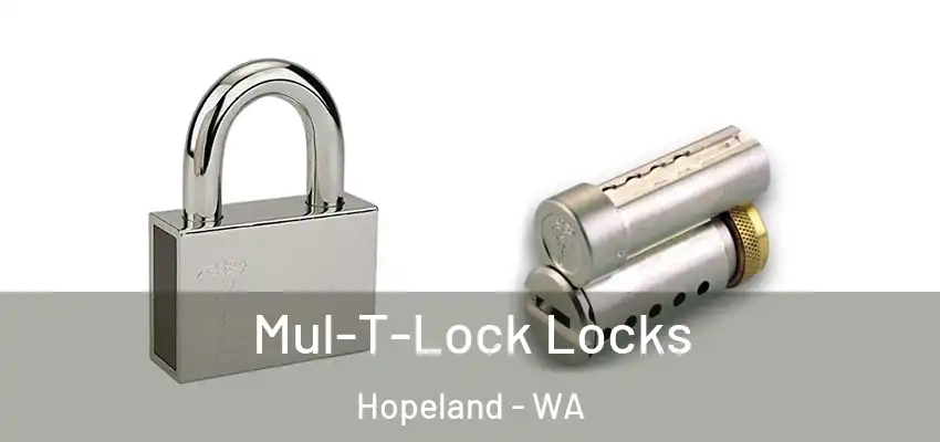 Mul-T-Lock Locks Hopeland - WA