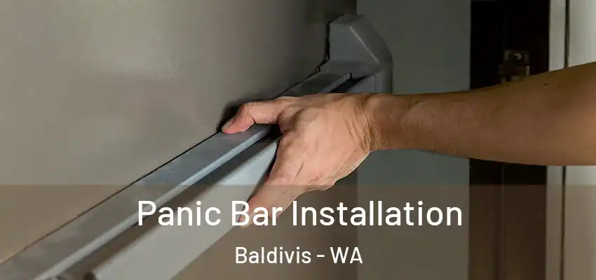 Panic Bar Installation Baldivis - WA