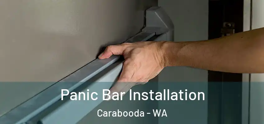 Panic Bar Installation Carabooda - WA