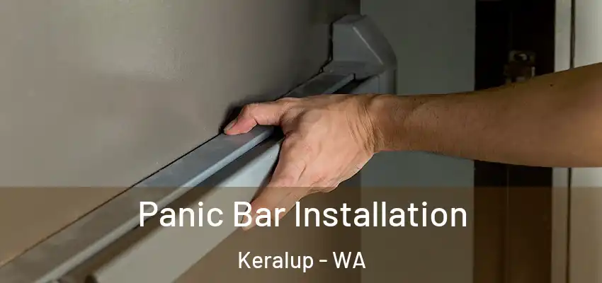  Panic Bar Installation Keralup - WA