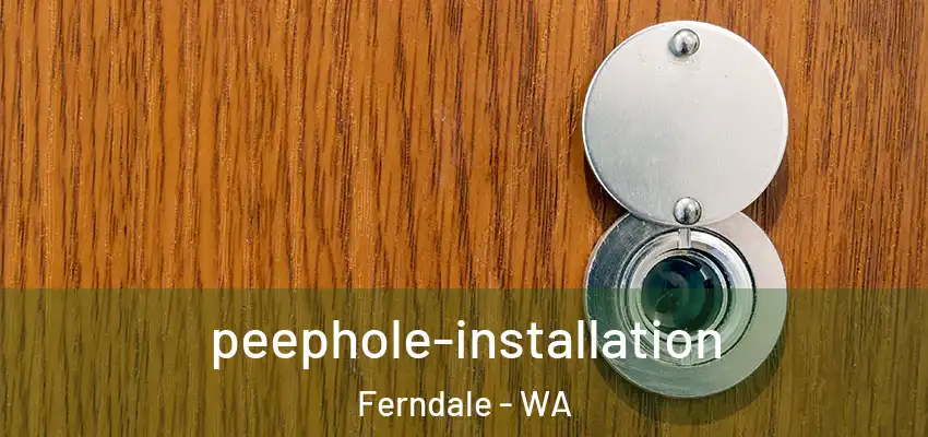 peephole-installation Ferndale - WA