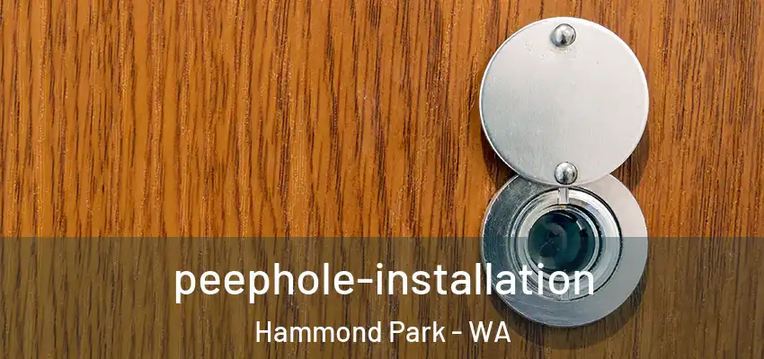 peephole-installation Hammond Park - WA