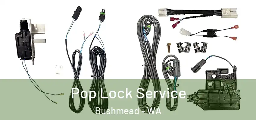 Pop Lock Service Bushmead - WA