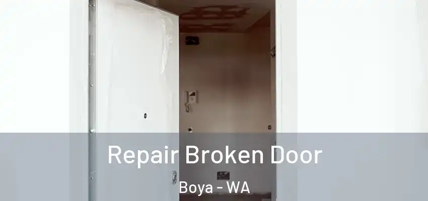 Repair Broken Door Boya - WA