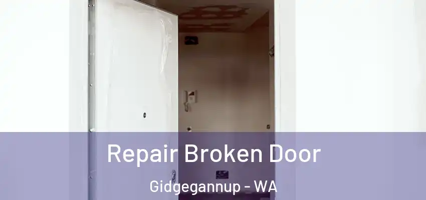 Repair Broken Door Gidgegannup - WA