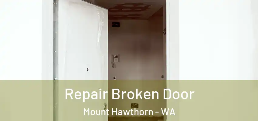 Repair Broken Door Mount Hawthorn - WA