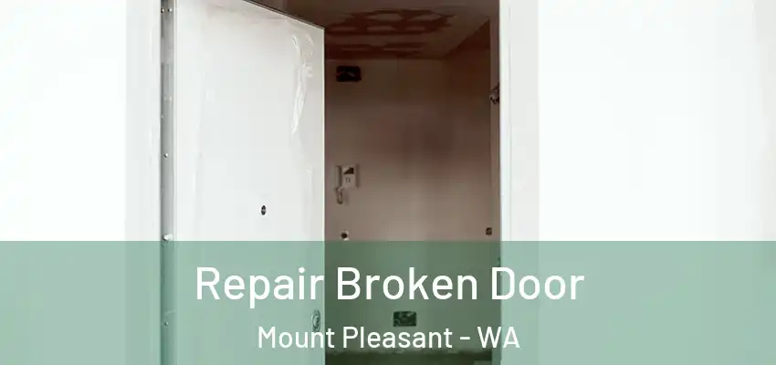 Repair Broken Door Mount Pleasant - WA