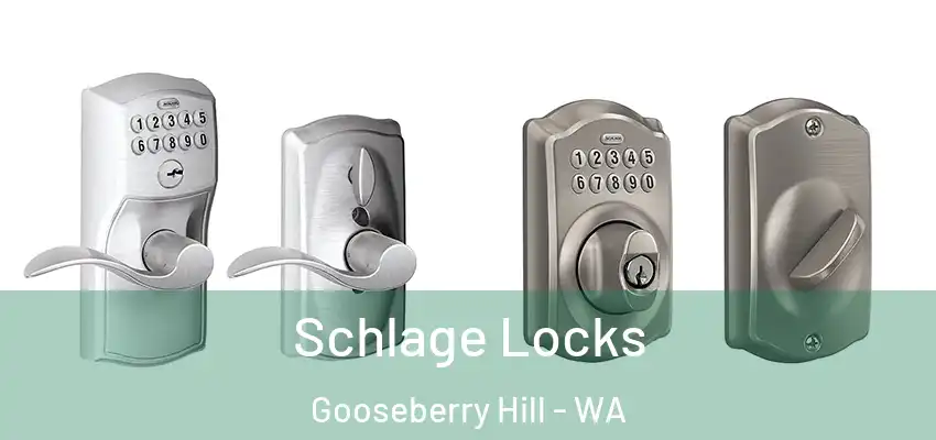 Schlage Locks Gooseberry Hill - WA