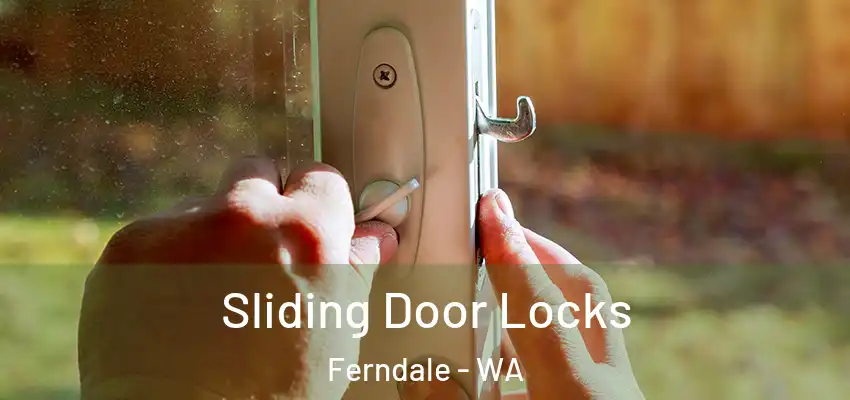  Sliding Door Locks Ferndale - WA
