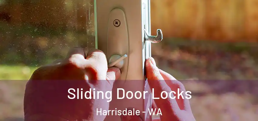 Sliding Door Locks Harrisdale - WA