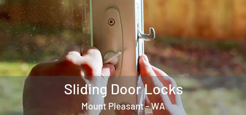  Sliding Door Locks Mount Pleasant - WA