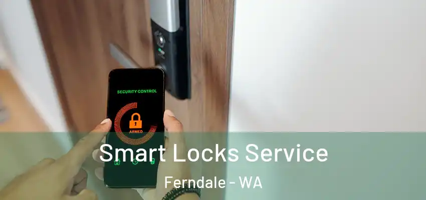 Smart Locks Service Ferndale - WA
