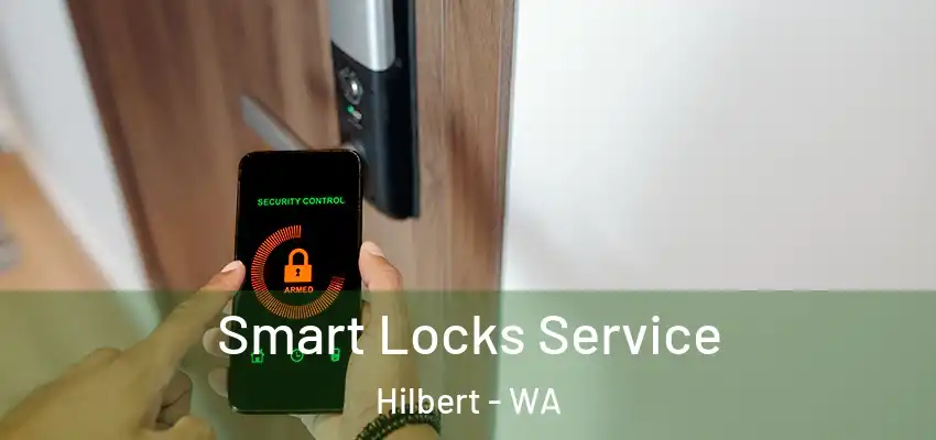Smart Locks Service Hilbert - WA