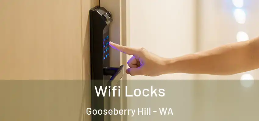 Wifi Locks Gooseberry Hill - WA